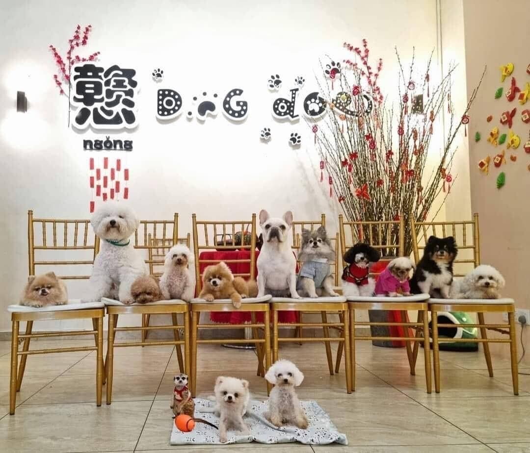 Business listing image