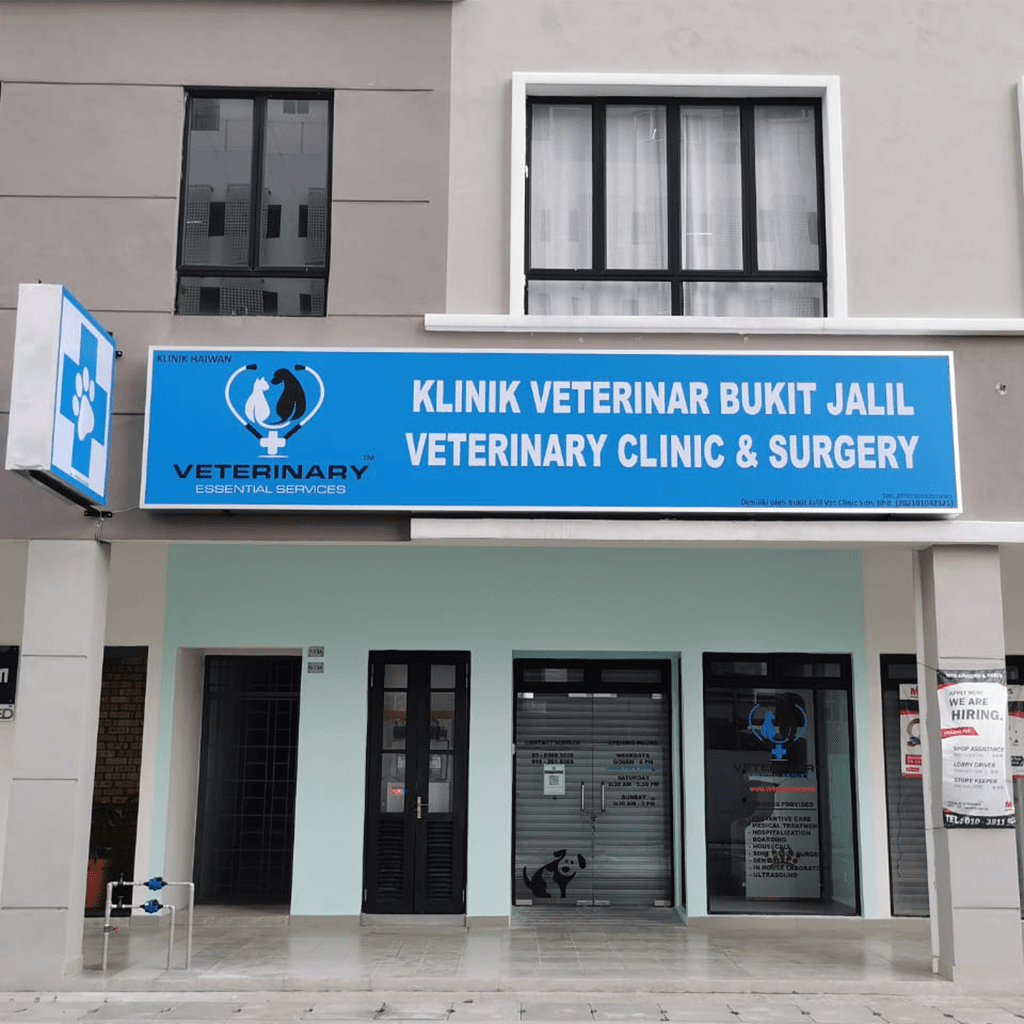 Business listing image