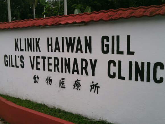 Business listing image