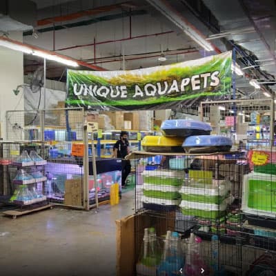 Business listing image