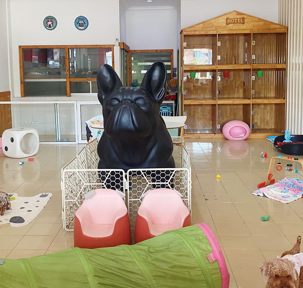 Business listing image